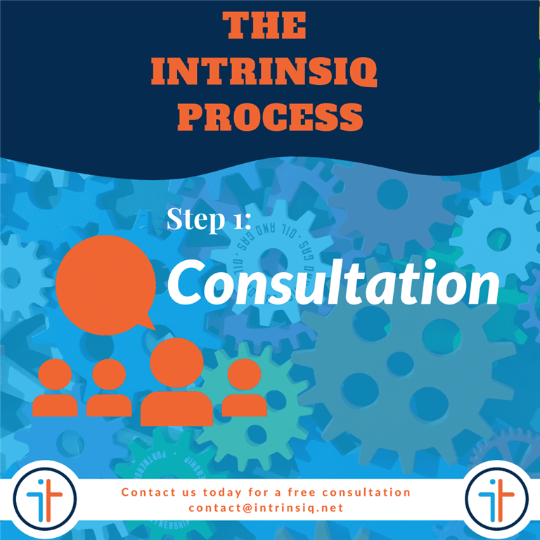The Intrinsiq Process - the Consultation step