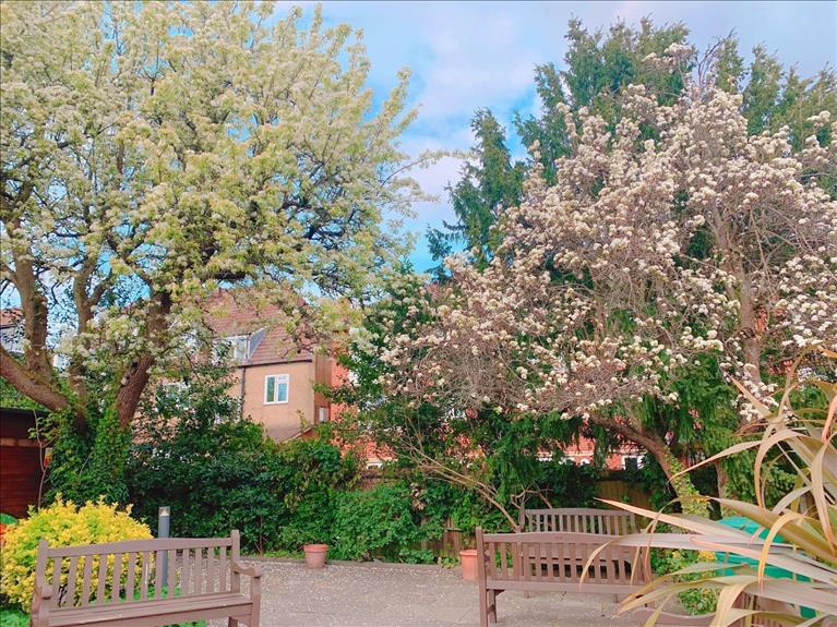 Wimbledon School of English - Our School Garden