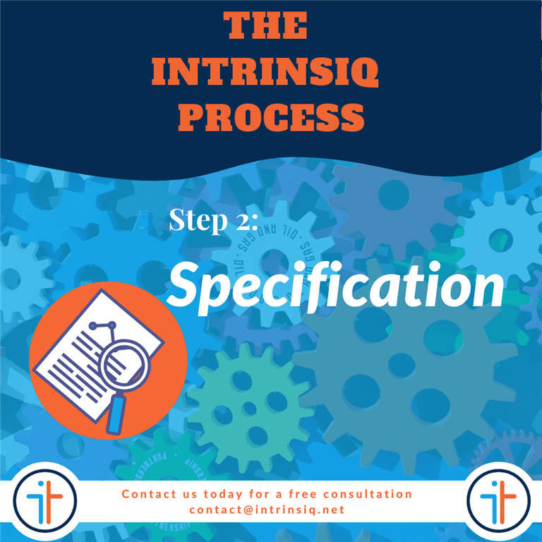 The Intrinsiq Process: Specification