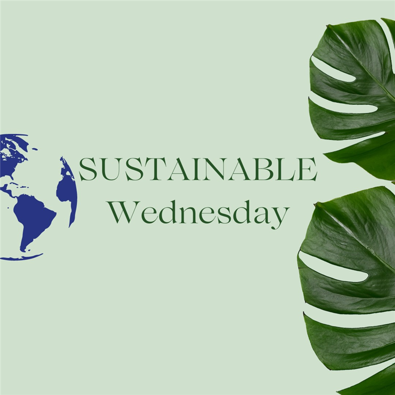 Sustainable Wednesday: Earn a Green Badge for Your International Language School