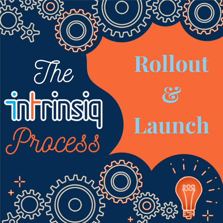 Intrinsiq Process - Rollout and Launch
