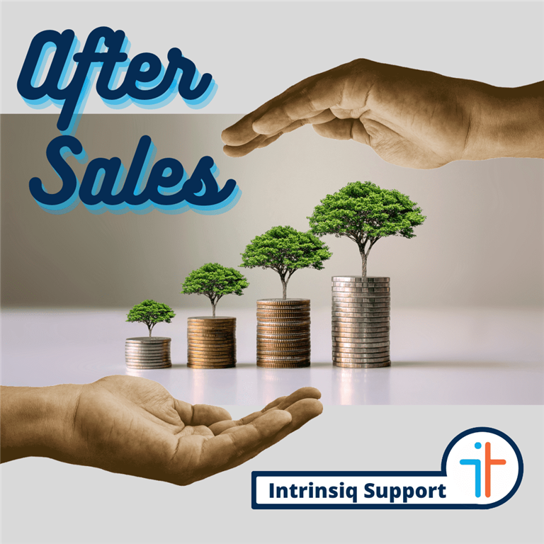 The After Sales Approach at Intrinsiq