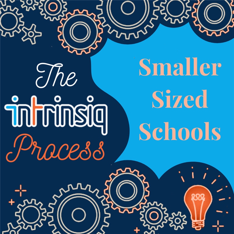 The Intrinsiq Process - Smaller sized schools