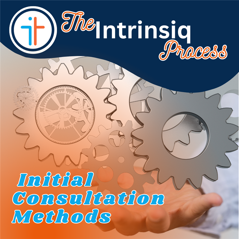 Navigating the Educational Landscape: Intrinsiq's Initial Consultation Methods