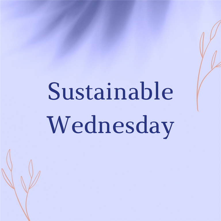 Sustainable Wednesday: Inspiring Student-Led Sustainability Projects in Schools 