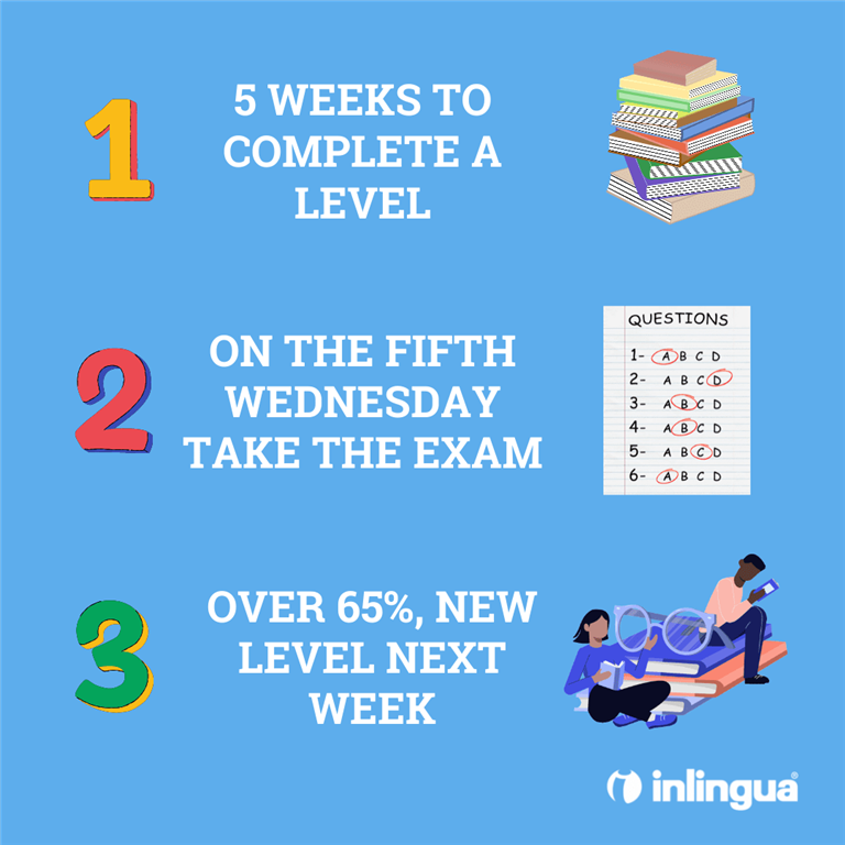 Inlingua Malta: What does the student have to do to pass our levels? 