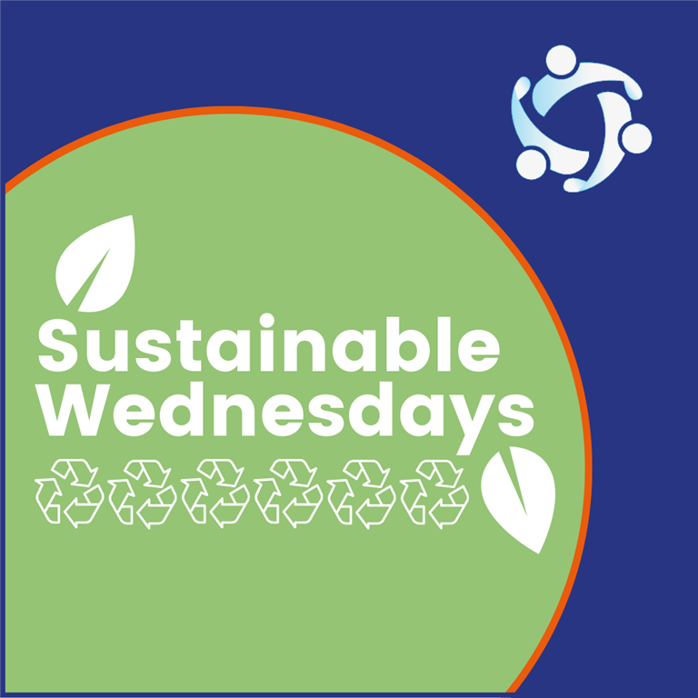 Sustainable Wednesday: Eco-Friendly Accommodation for International Students