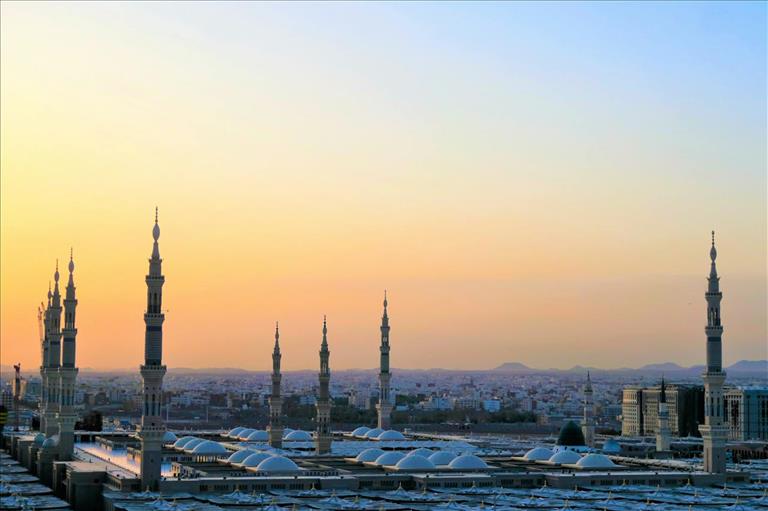 Saudi Arabia ELT market report provides in-depth analysis of an evolving market