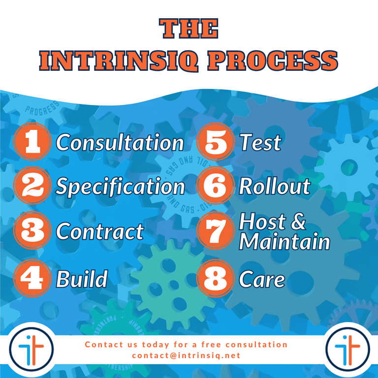 The Intrinsiq Process: All the steps of the Intrinsiq Process
