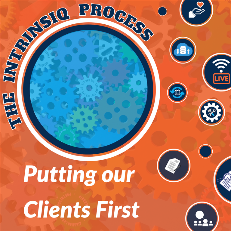 The Intrinsiq Process: Let’s take a look at the whole process