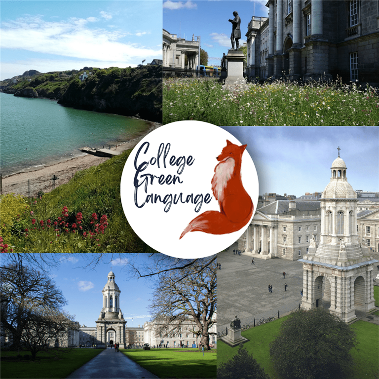 Welcoming College Green Language and Study in Dublin to the S&A Platform