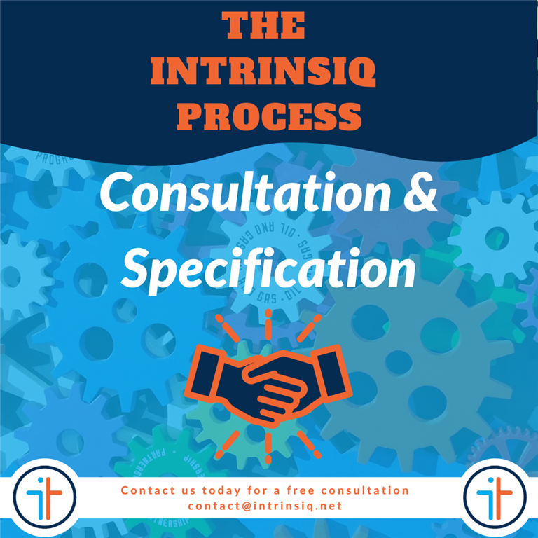 The Intrinsiq Process: Consultation and Specification
